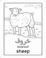 Arabic Arabische Bauernhof Arabisch Lernen Zoomen sketch template