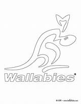 Coloring Pages Team Wallaby Rugby Baseball Mlb Wallabies Logo Template Designlooter Australia Library Clipart Popular Comments Line sketch template