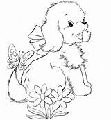 Rottweiler Coloring Pages Getcolorings Animal sketch template