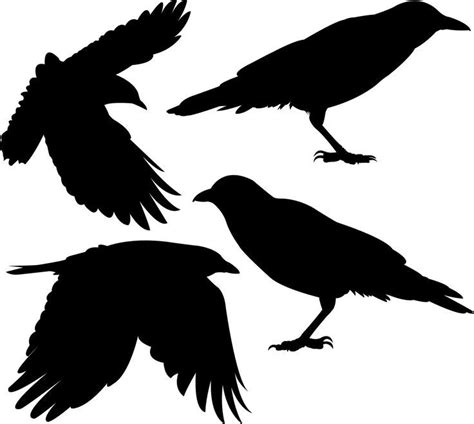 image result  crow outline crow silhouette crow animal silhouette