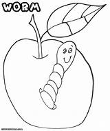 Worm Coloring Pages Colorings sketch template