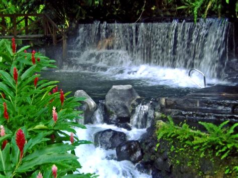 hot springs of costa rica times of india travel