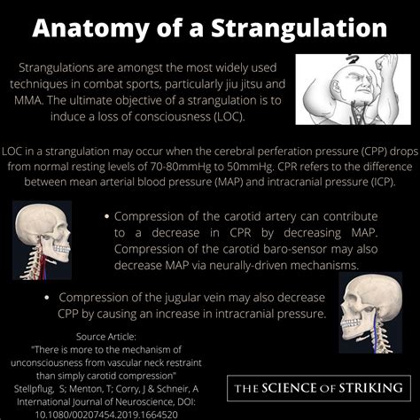 short review anatomy   strangulation  science  striking
