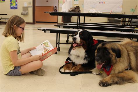 students read  therapy dogs wynantskill union  school district