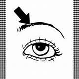 Flash Eyebrow Card Eye Cards Print Printable Click Parts Body Freeprintable sketch template