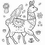 Llama Llamas Adults Parrot sketch template