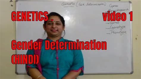 gender determination youtube