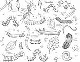 Coloring Caterpillars Pages Butterfly Caterpillar Visit Hedgie Desk sketch template