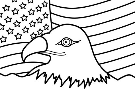 bald eagle   flag