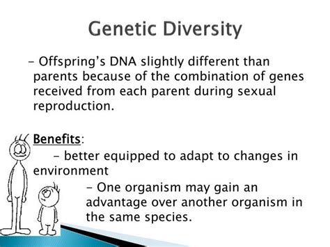 Ppt Meiosis Is The Basis Of Sexual Reproduction Powerpoint