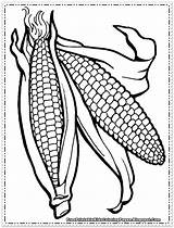 Coloring Pages Corn Printable Ear Drawing Indian Stalk Cob Field Template Color Outline Print Kids Getcolorings Children Fruit Getdrawings Templates sketch template