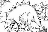 Stegosaurus Coloring Fun Fascinating Adults Pages Kids sketch template