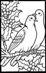 Turtle Christmas Doves Days Coloring Pages Two Stained Glass Choose Board Bird Visit Colouring Dove sketch template