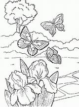 Coloring Butterfly Garden Drawing Flowers Pages Butterflies Flower Beautiful Kids Clipart Sheets Spring Print Colouring Printable Drawings Birds Gardens Summer sketch template