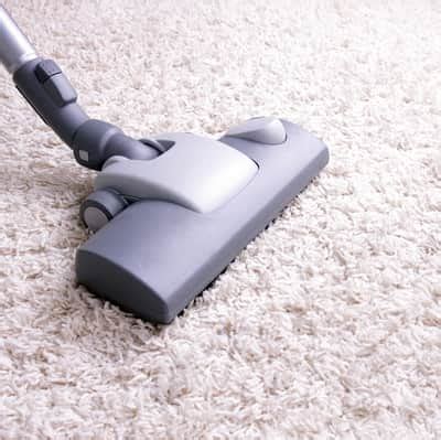 ways  clean vomit   carpet merry maids