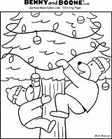 Coloring Evergreen Tree Outline Line Clipart Popular Pages Library sketch template
