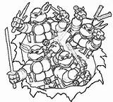 Turtle Turtles Mutant Coloringonly Tartarughe Raskrasil sketch template