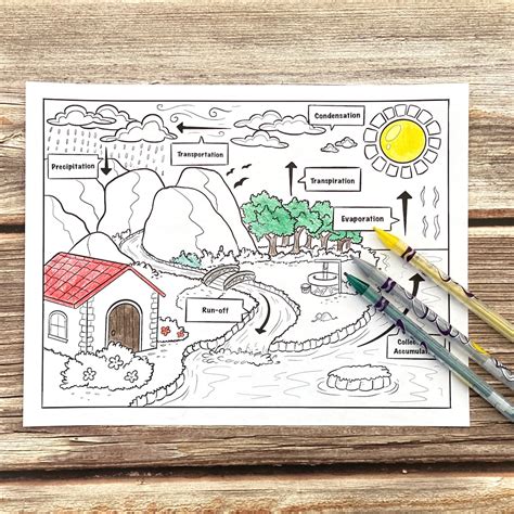 water cycle coloring page kids activity elementary etsy
