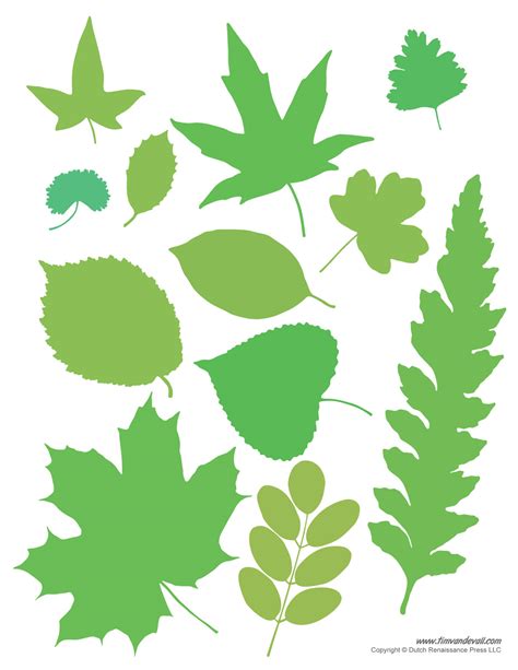 leaf templates tims printables