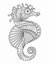Seahorse Animal Zentangle sketch template