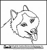 Coloring Husky Pages Siberian Printable Library Clipart Cartoon Popular sketch template