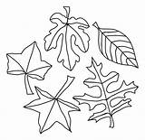 Coloring Leaf Printable Oak Pages Stencil Leaves Fall Popular sketch template