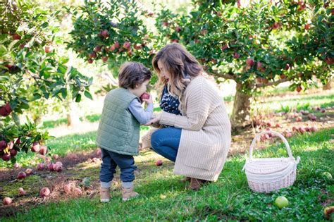 family apple picking zoe  love
