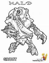 Halo Grunt Flood Coloringpagesonly Arbiter Jeux Waypoint sketch template
