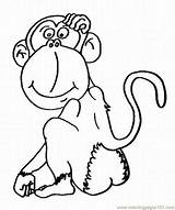 Marmoset Pygmy Coloring Designlooter Monkey Colouring Pages sketch template