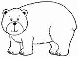 Coloring Bear Pages Color Printable Preschoolcrafts Animal Polar sketch template