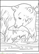 Bear Coloring sketch template