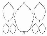 Leaf Elm Pattern Template Outline Printable Patternuniverse Use Flower Patterns Templates Paper Tree Crafts Stencils Terms Visit sketch template