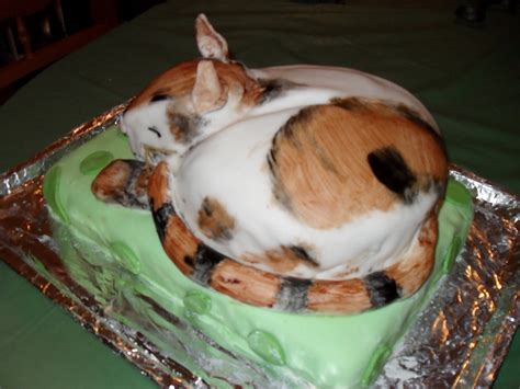 novelty cake designs     cat cake