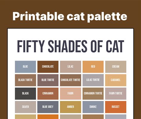 fifty shades  cat  named fur colors  cats etsy