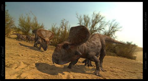 Image Protoceratops  Primeval Fanon Wiki