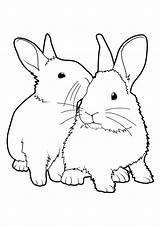 Lapin Lapins Iepurasi Paques Realiste Rabbit Colorat Colorier Gulli Dessins Conejo Nain Desene Animalitos Conejos Mignon Pâques Iepuri Imagen Poussin sketch template