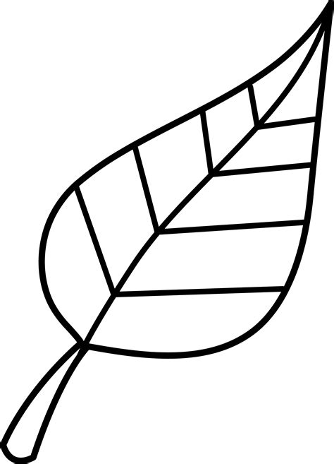 leaf black  white clipart clipart
