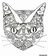 Coloriage Coloring Anti Stress Adulte Dessin Mandala Cat Imprimer Coloriages Pages Color Chat Et Adults Tattoos Pour Zen Tattoo Books sketch template
