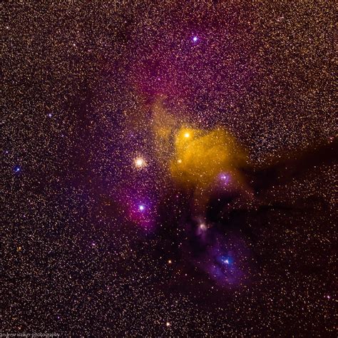 antares region  supergiant star antares   rho flickr