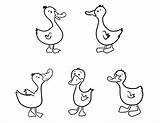 Coloring Duck Five Ducks Baby Oregon Pages Color Template Logo Print Netart Printable Getcolorings Impressive sketch template