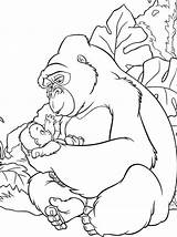 Kong Coloring Colorare Kolorowanka Tarzan Dziecko sketch template