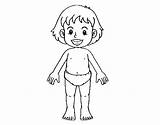 Body Coloring Front Coloringcrew sketch template