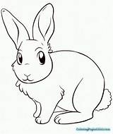 Bunny Lapin Mignon Kelinci Rabbits Berdiri Sketsa Couleur Putih Diwarnai Dessins Einhorn Conejos Kopf Dessine Mewarnai Coloriageetdessins Trop Moi Pokemon sketch template
