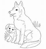Coloring Labrador Welpe Husky Ausmalbild Puppies Hundewelpen Perros Cachorros Hunde sketch template