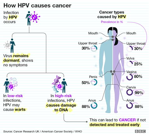 hpv types  cancers