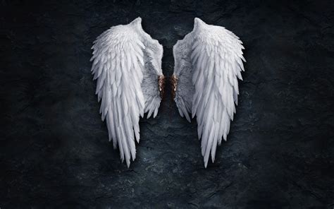 angel wings wallpapers  images wallpapers pictures