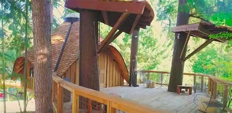 Microsoft Builds “unexpected” Treehouse Meeting Space To