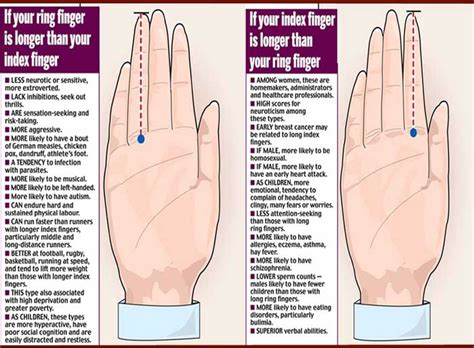 Finger Length Tells You Everything Siowfa15 Science In Our World