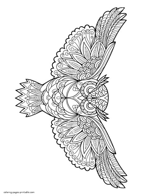 bird coloring book  adults coloring pages printablecom