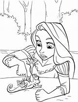 Rapunzel Coloring Pages Pascal Coloriage Colorare Da Raiponce Shopkins Livre Enregistrée Depuis Disegni sketch template